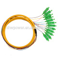 Sc 12 Core Fanout Fiber Optic Pigtails, Sm Simplex 12 Core Optical Fibre Pigtail mit günstigen Preis